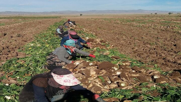 چرا مغان به بورس نیامد؟ - تحلیل بازار 1400/10/18